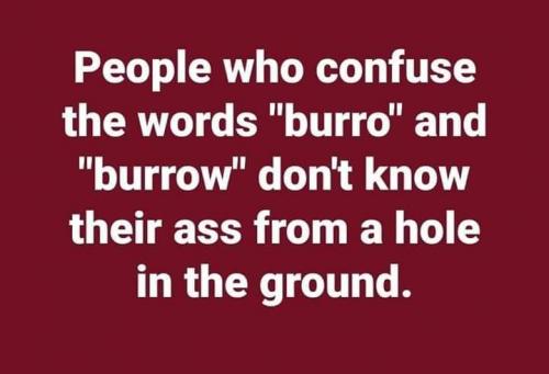 Ass from a hole in the ground