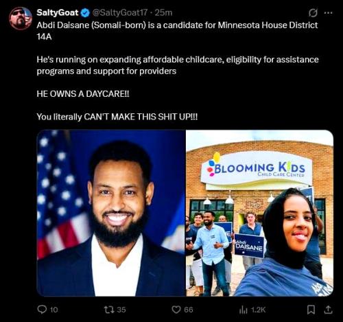 Somali Fraud