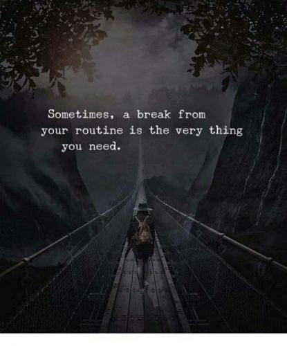 1000063019