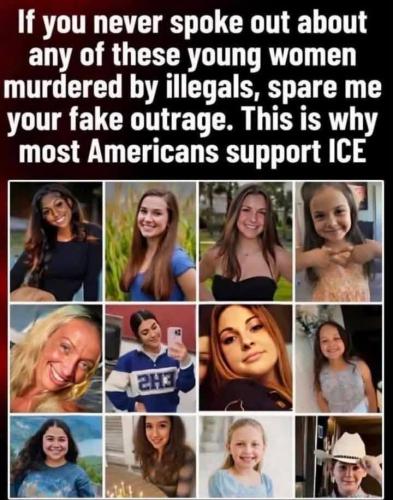 democrats 173