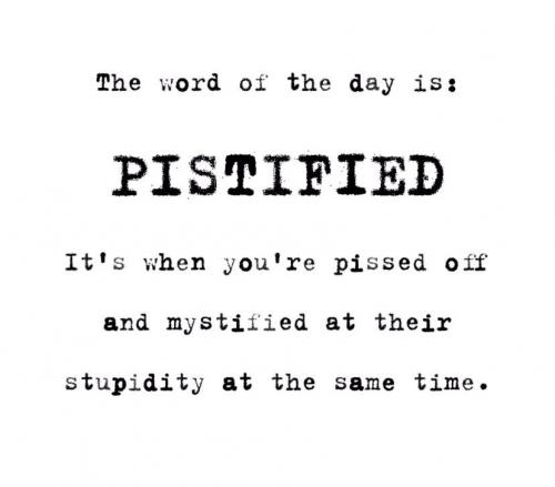 PISTEFIED    GETTR