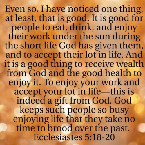7-5-26 Enjoy the Life God Gives You