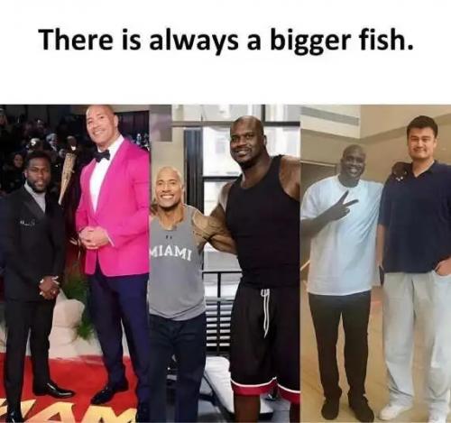 always-bigger-fish-hart-rock-shaq-yao.jpg