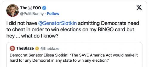 Sen Slotkin Dems need to cheat