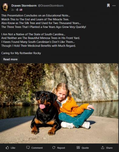 Caring for My Rottweiler Rocky ~Post~