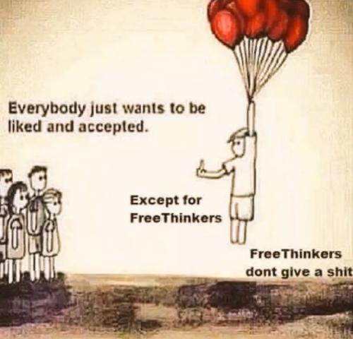 1000008088