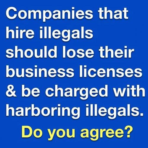 ILLEGALS BUSINESS TAX