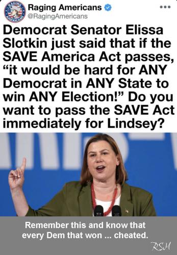 Dems must cheat