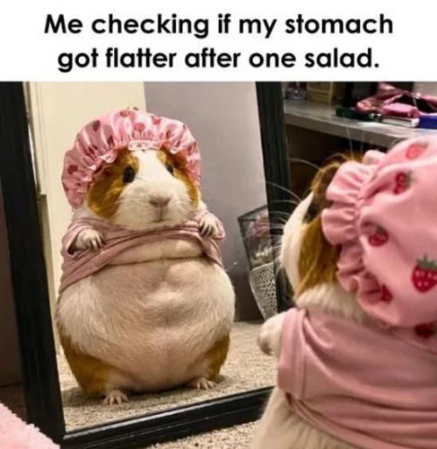 me-checking-stomach-mirror-eating-one-salad