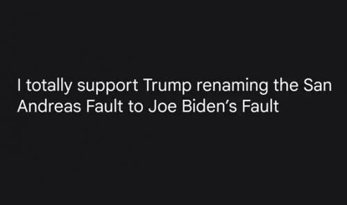 1000066169