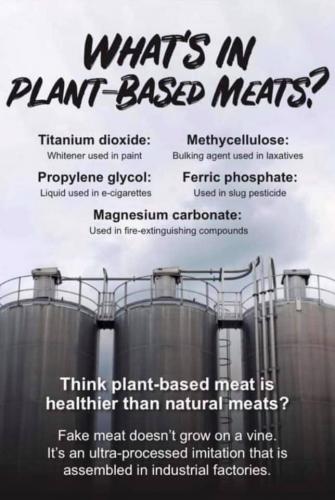 plant based