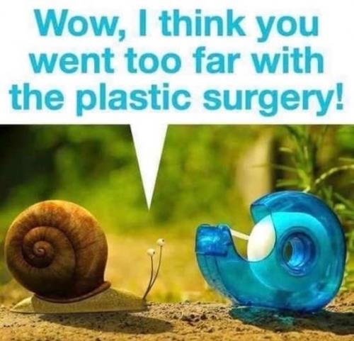 snail-scotch-tape-plastic-surgery