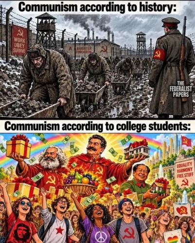 1000008611