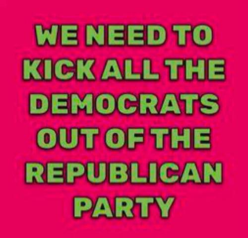 45 RULES REPUBLICAN DEOMCRATS