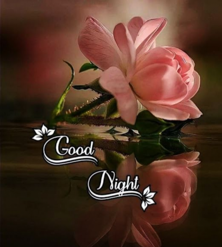 Good Night 71