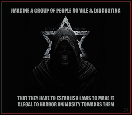 1000066955