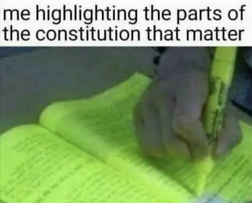 constitution copy