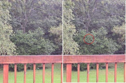 demon_is_hidding