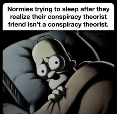 normies-realize-conspiracy-theorist-friend-not