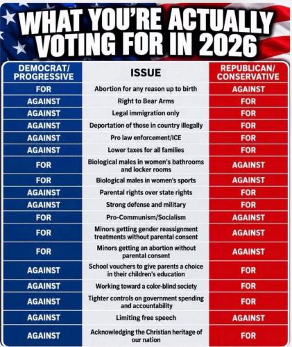 What you're actually voting for in 2026