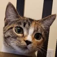 CathyD
