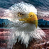 NativePatriot