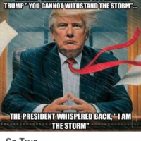 Lady4Liberty