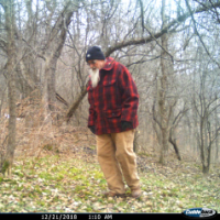 woodsman