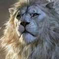 FLAVIUS
