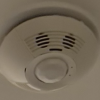 Trumpslittlebitch111