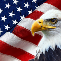 StarsAndStripes
