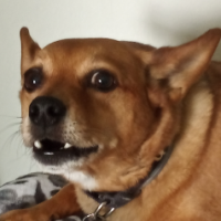 Elaine
