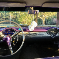 Plum Crazy