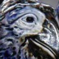 Uneducated_white_male