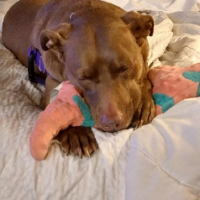 SophiesMom