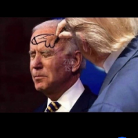 Trump12020