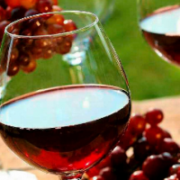 NedtheWino