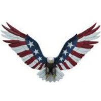 Patriotsdaughter