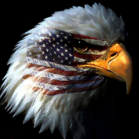 Greyeagle