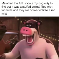 Fuckaroundandfindout