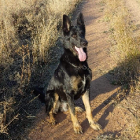 azdug57