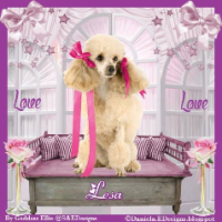 PoodleLady