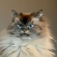 RedGrannyOne