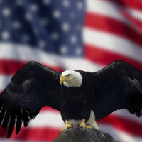 PatriotSteve6