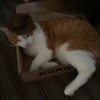 Alfredo