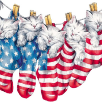 AmericanAlleyCats