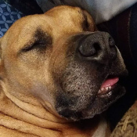 What a day that will be