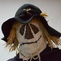 1DrSCARECROW13