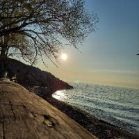 Dream_84