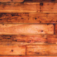 BitterPoisonOfTheSoul